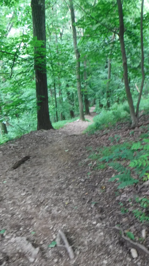 Steep downhill