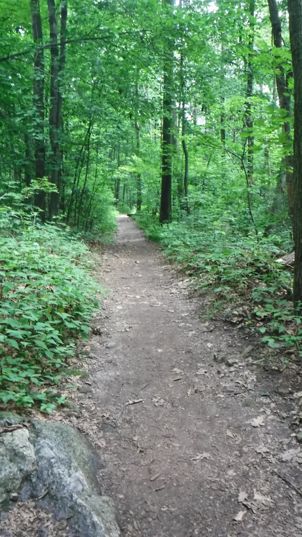 Smooth trail
