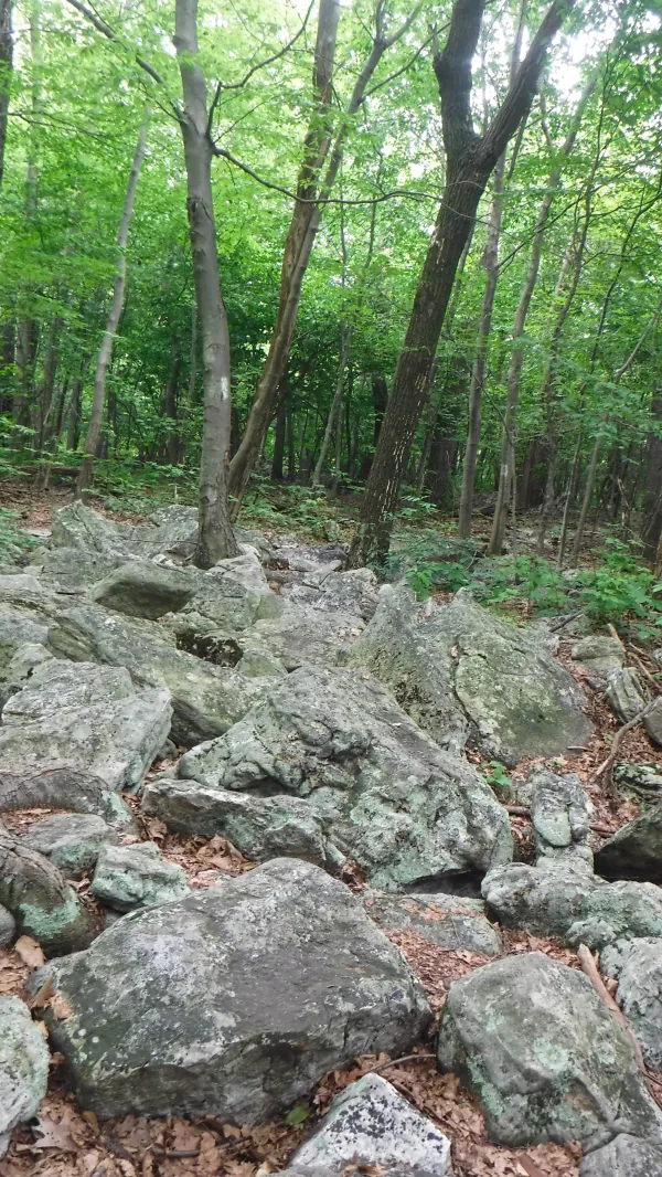More rocks