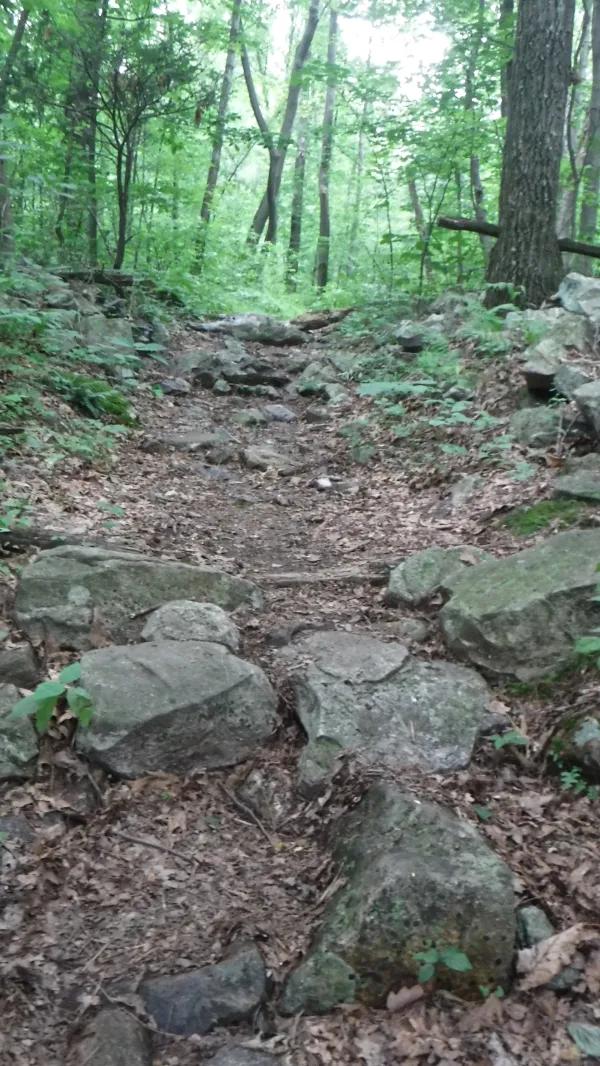 Rocky trail