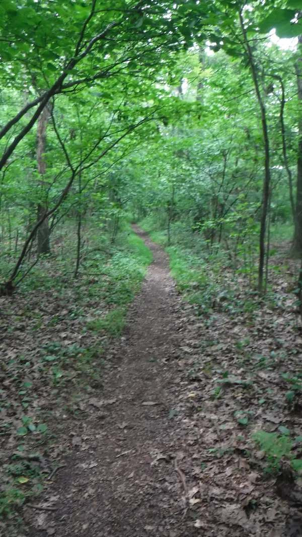 Smooth trail