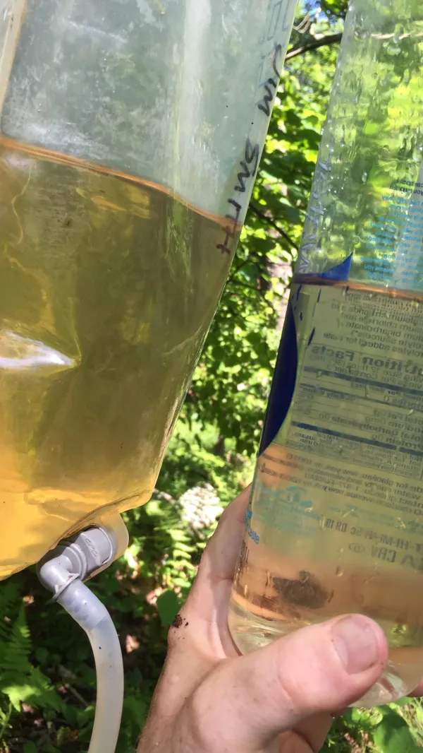 Filtering yellow water