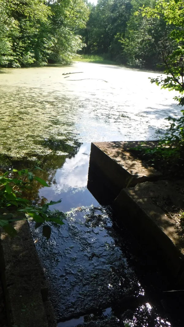 Man-made pond