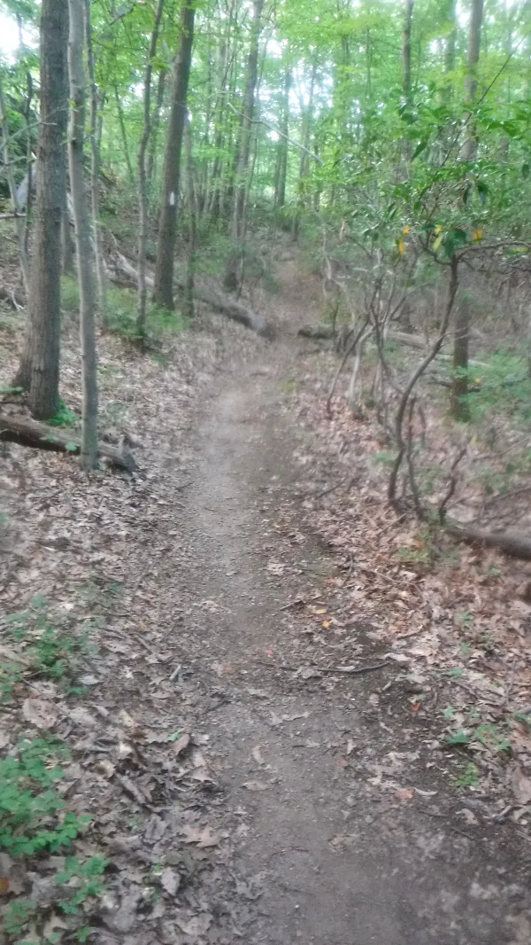 climb up Shenandoah Mountain