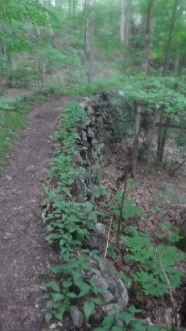 Mining railroad bed in Clarence Fahnestock Memorial State Park