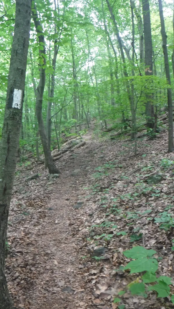 Going over Stormville Mountain