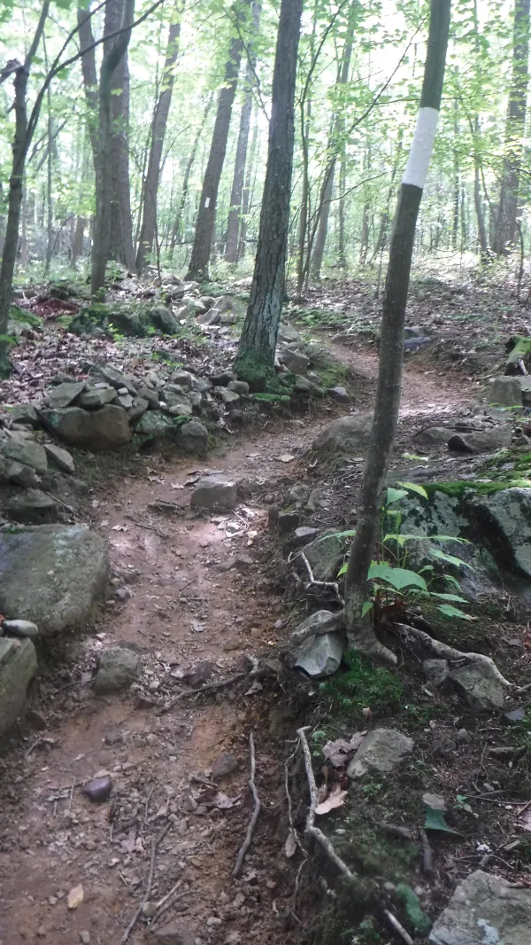 Zig-zag trail