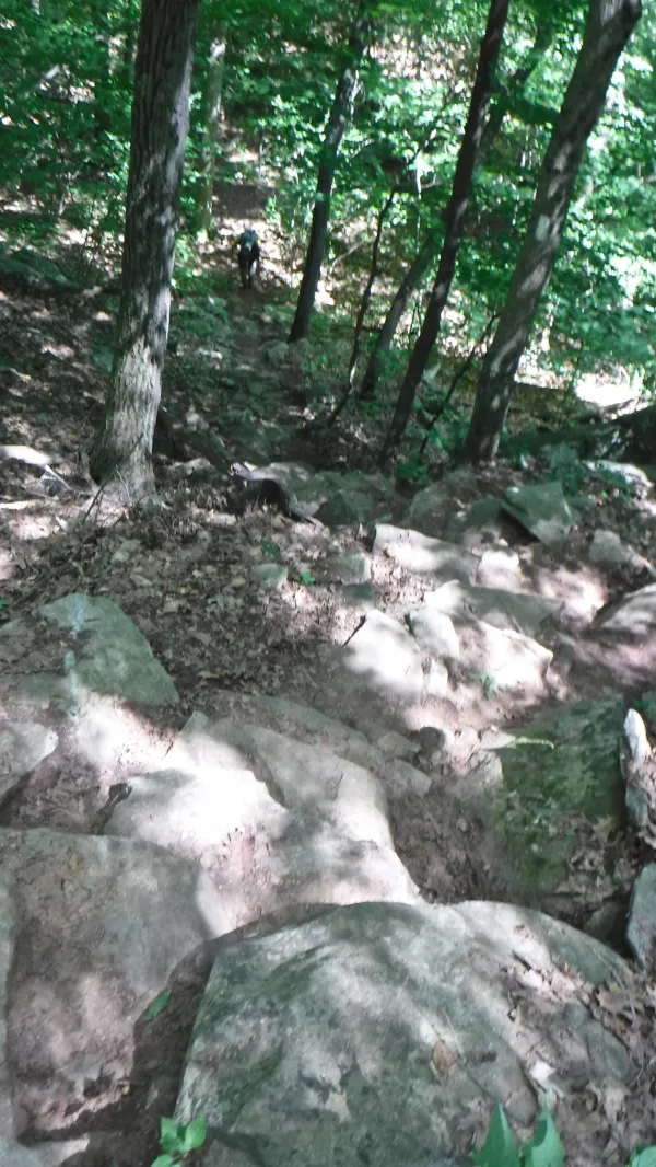 Stone steps leading down St. John's Ledges