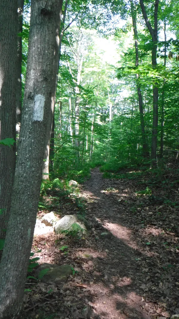 Easy, flat trail