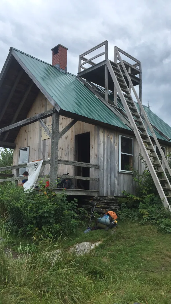 The Lookout