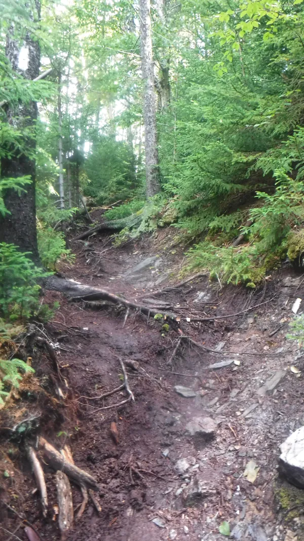 Rutted trail