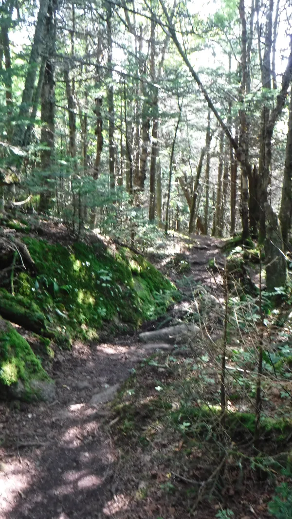 Climb up Mt. Wolf