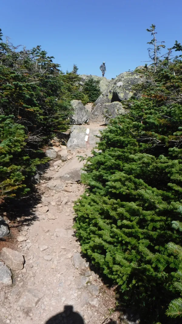Reaching the top of South Twin Mountain