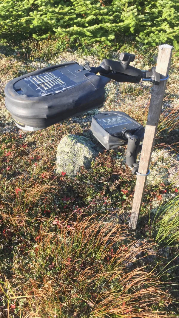 Plant monitoring camera