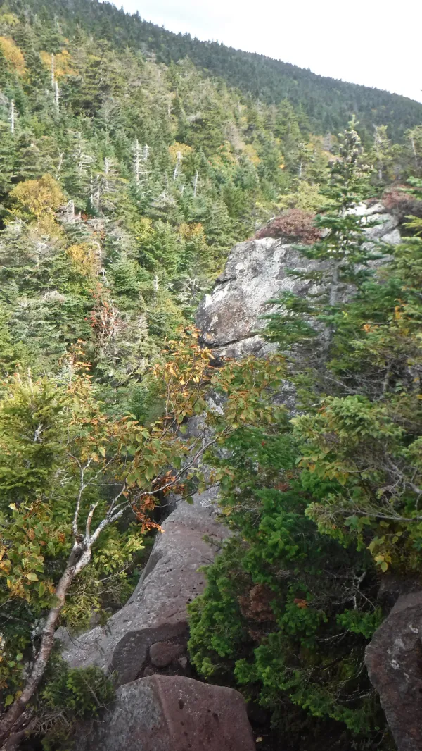 Climb up to Carlo Col