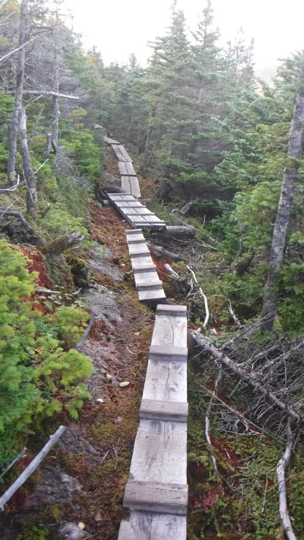 Descent from one of the Goose Eye peaks