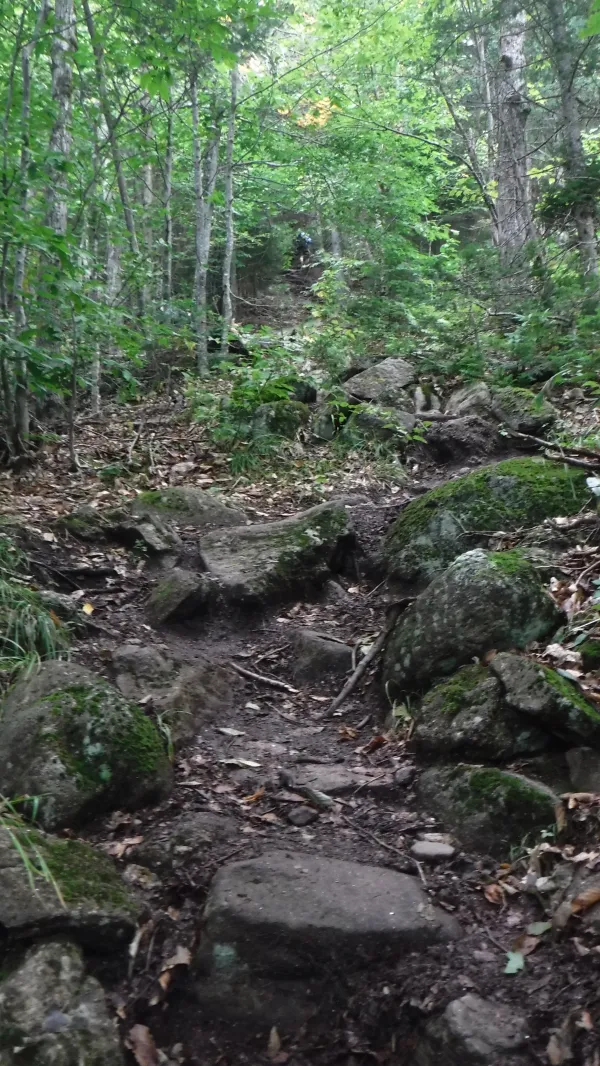 Leaving Gentian Pond Shelter