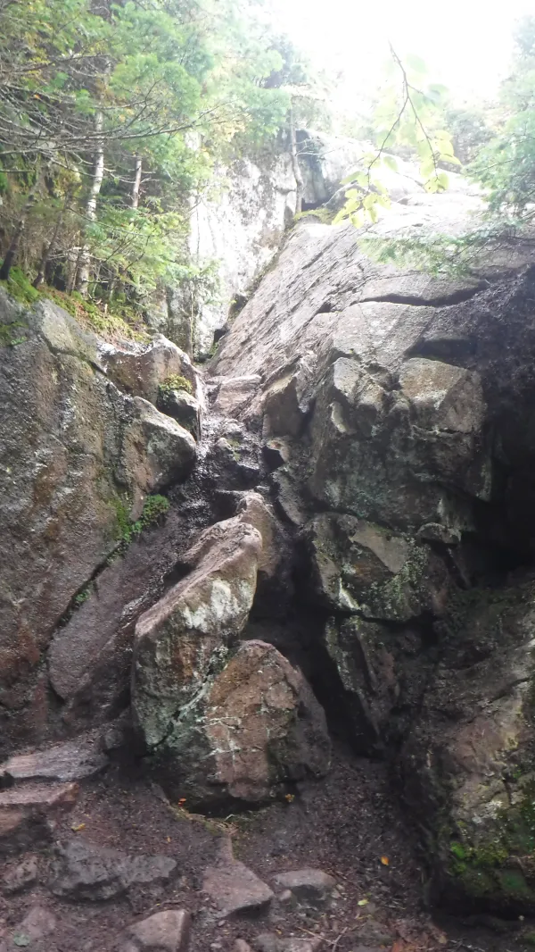 Crack in the rock