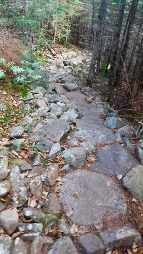 Stone steps on descent from White Cap Mountain