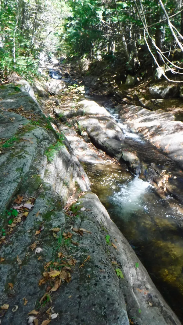 Rainbow Stream sluice