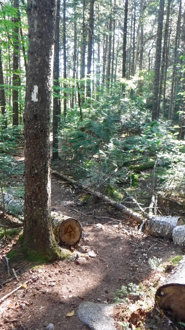 The last of the 100 Mile Wilderness