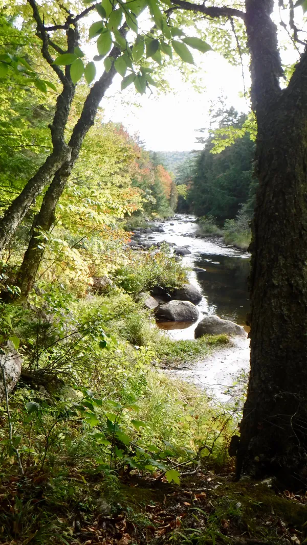 Looking back on Penobscot River