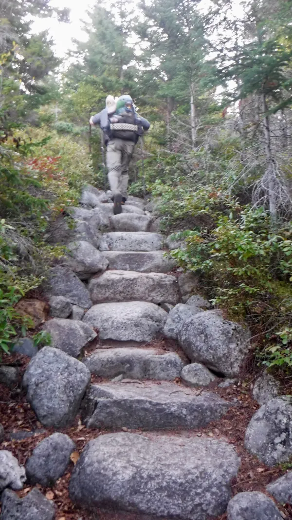 Stick climbs Mt. Katahdin steps