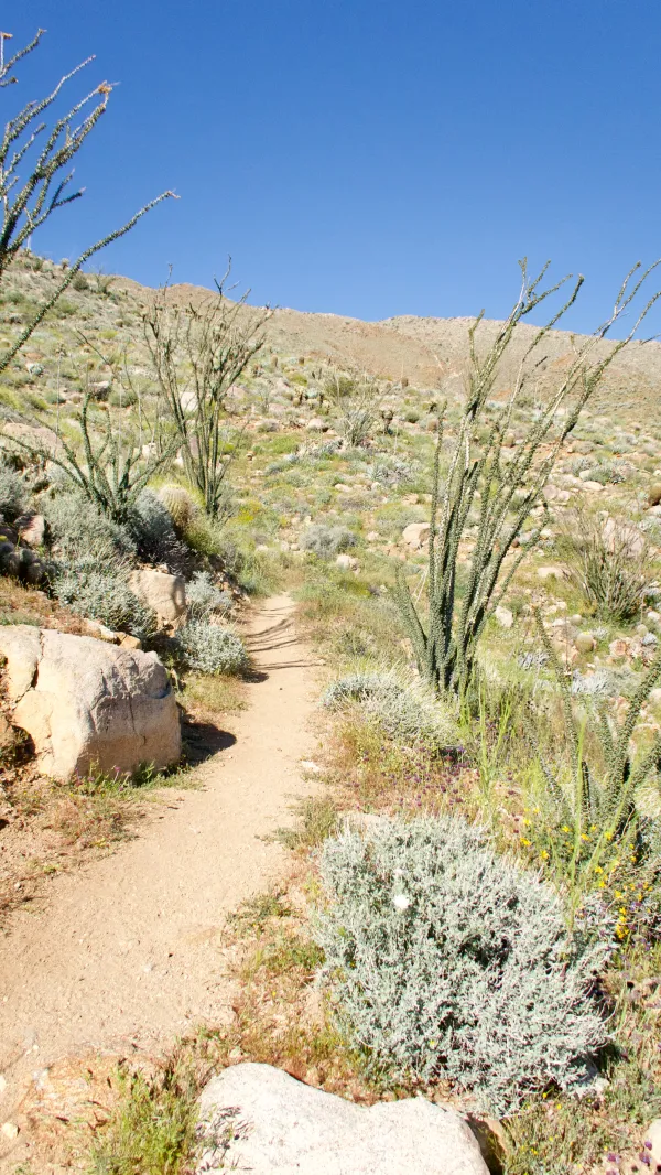 The trail climbs steeply