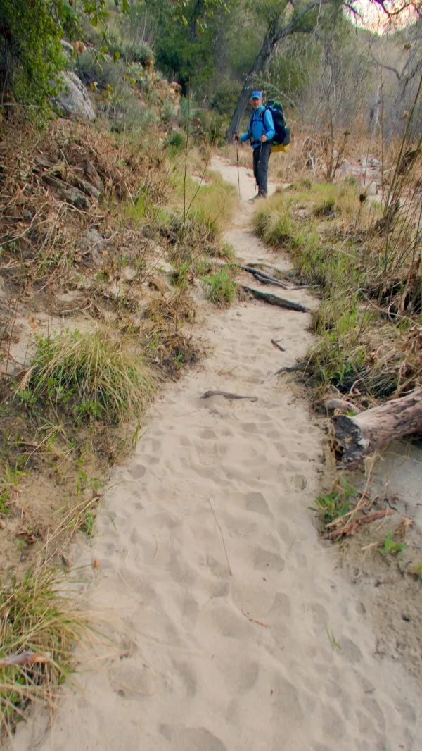 Sandy trail along Agua Caliente Creek 