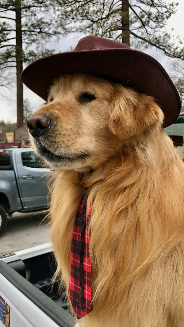 Mayor Max of Idyllwild