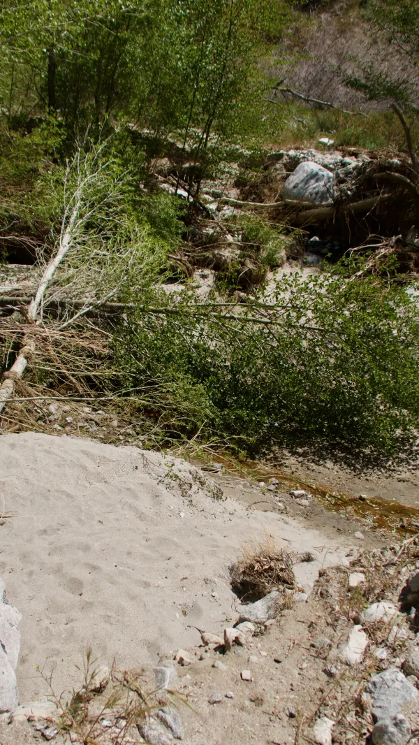 Damaged trail crossing Mission Creek