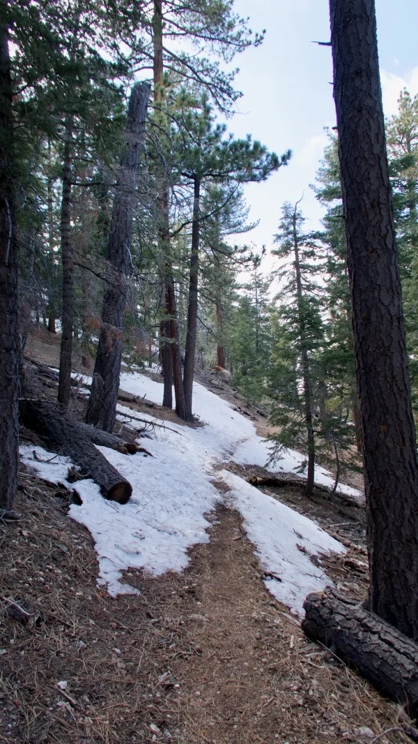 a few more patches of snow