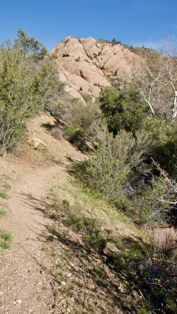 Sandstone outcropping