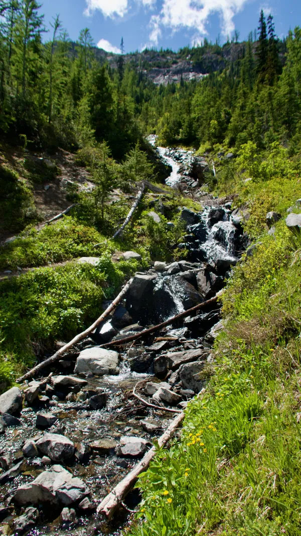 Mountain stream