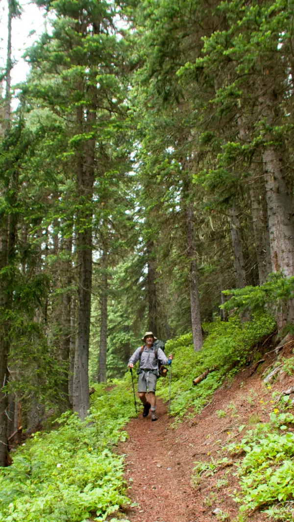 Descending on the trail
