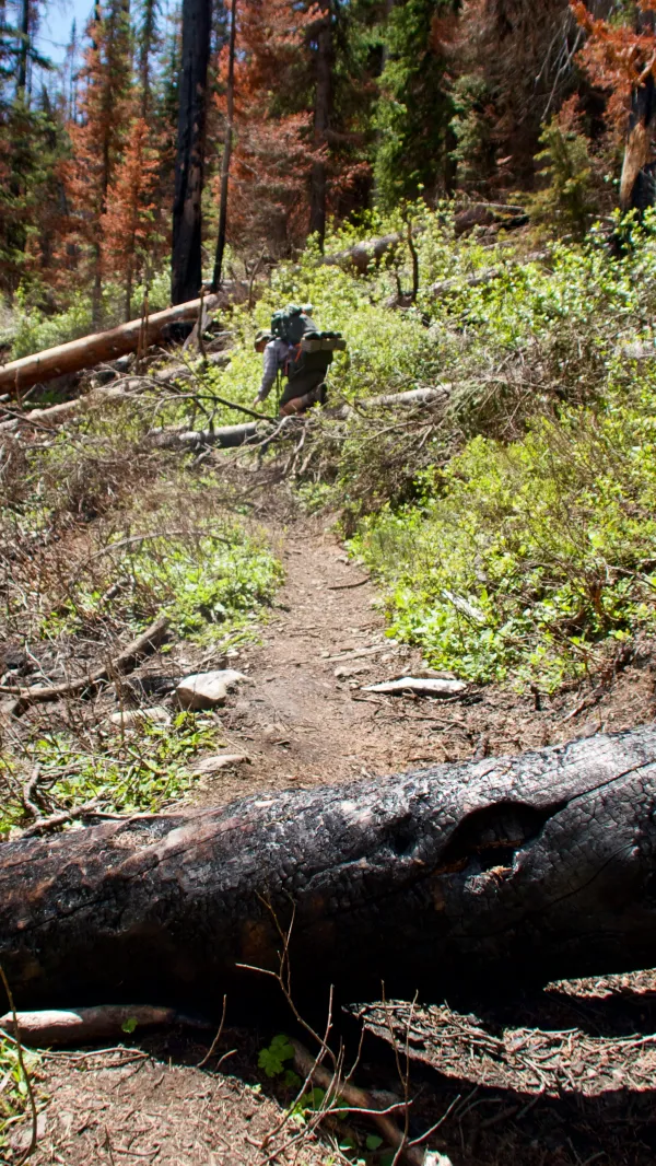 Return to Holman Fire section