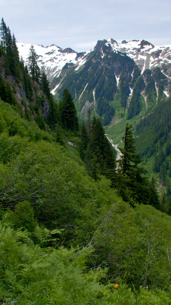 Descending into a deep valley