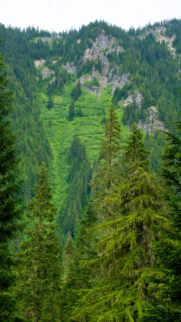 Looking back to view switchbacks