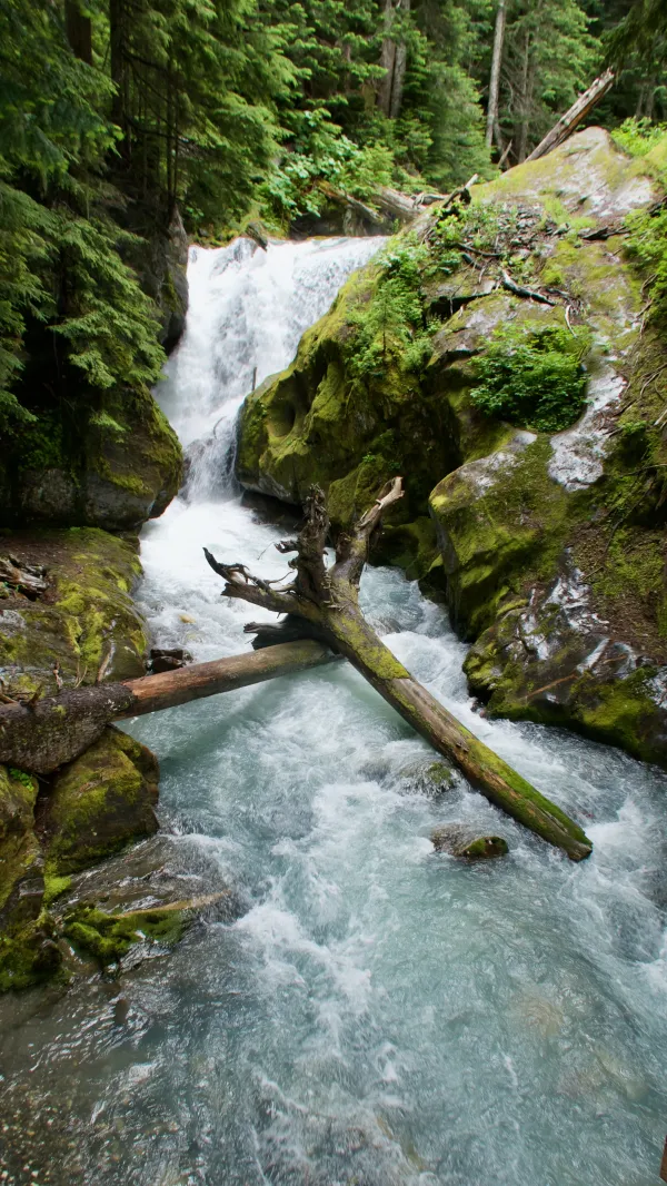 White Chuck River