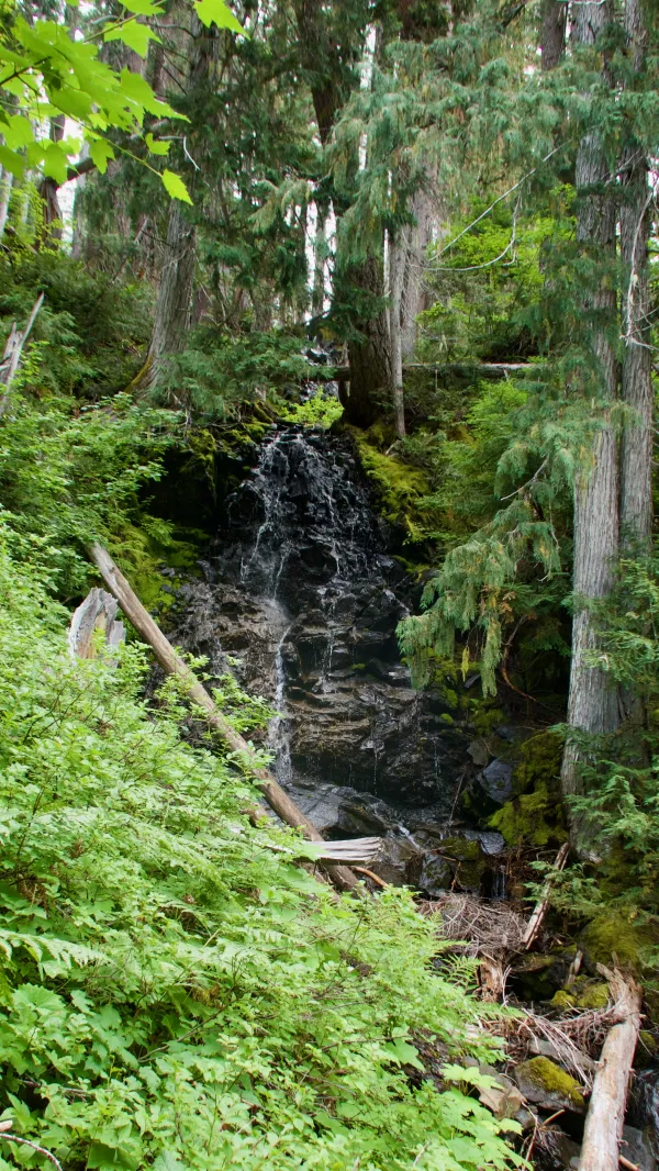 A small waterfall