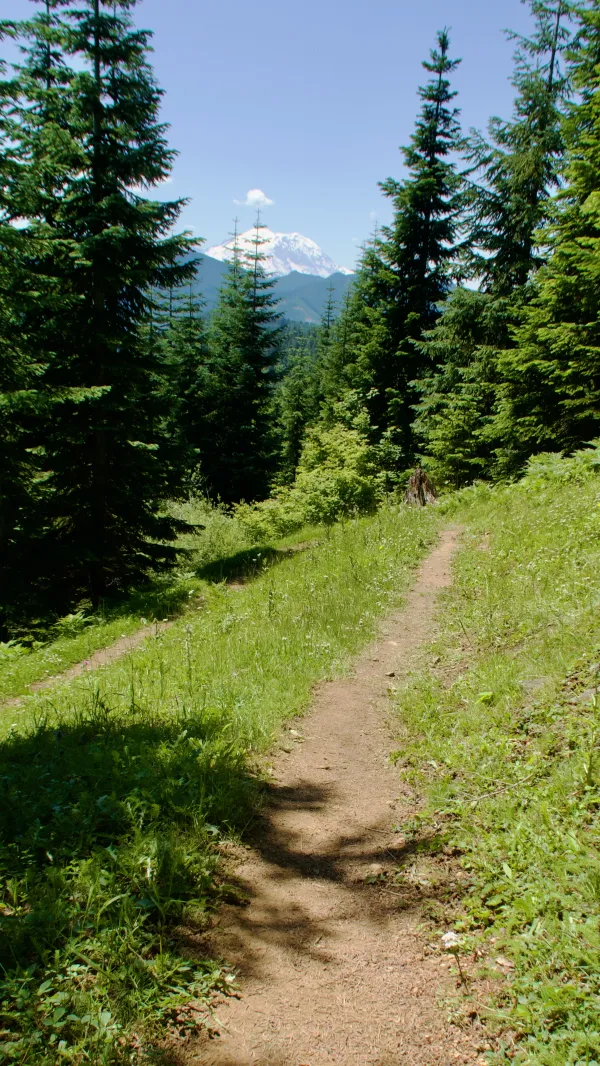 Mt. Rainier appears ahead on the trail