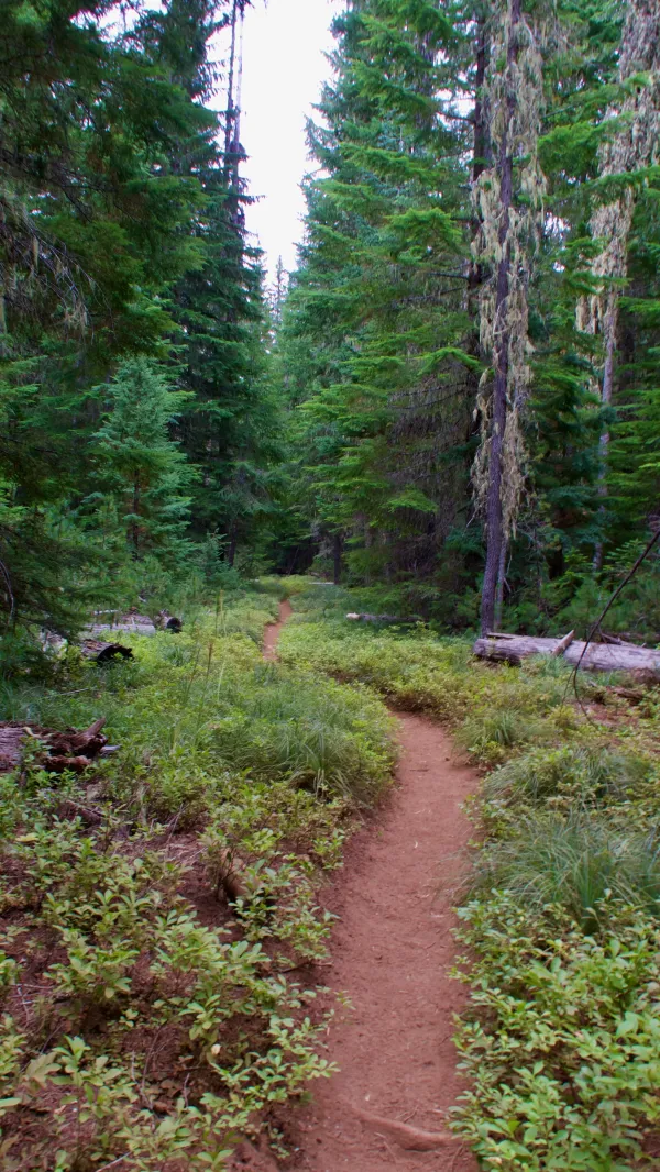 The trail enters Warm Springs Indian Reservation