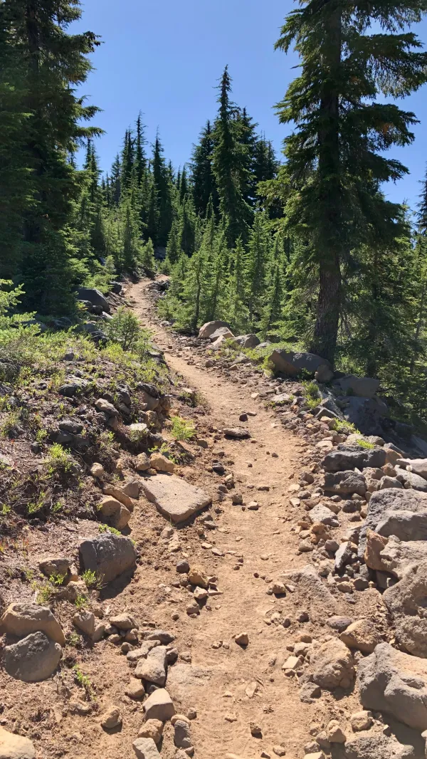 Zig-zagging trail