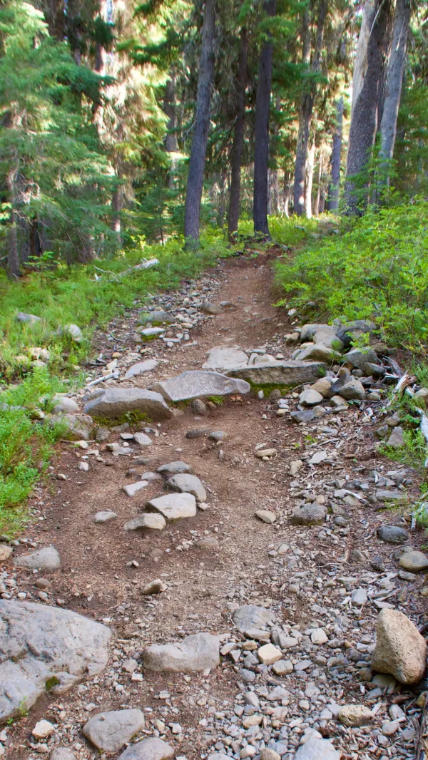 A rocky section of climbing trail