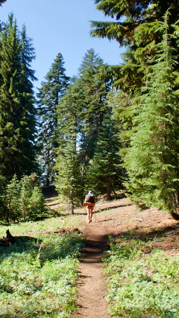 Sunkist walks on the PCT