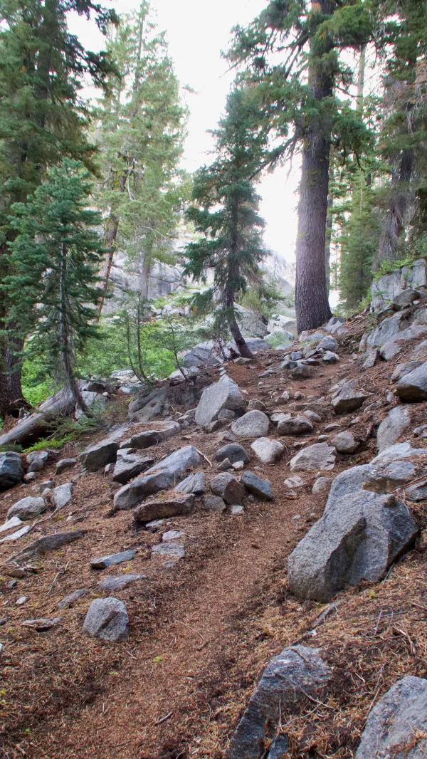 A short climb up Bailey Ridge on the PCT