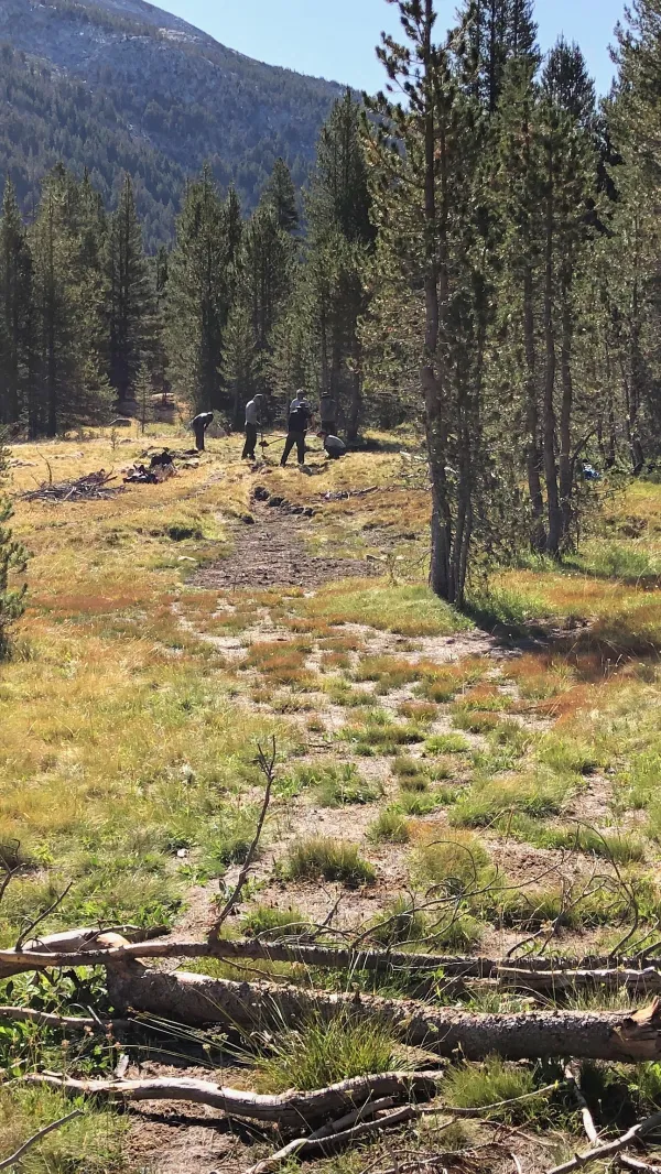 Crew moving trail in Lyell Canyon