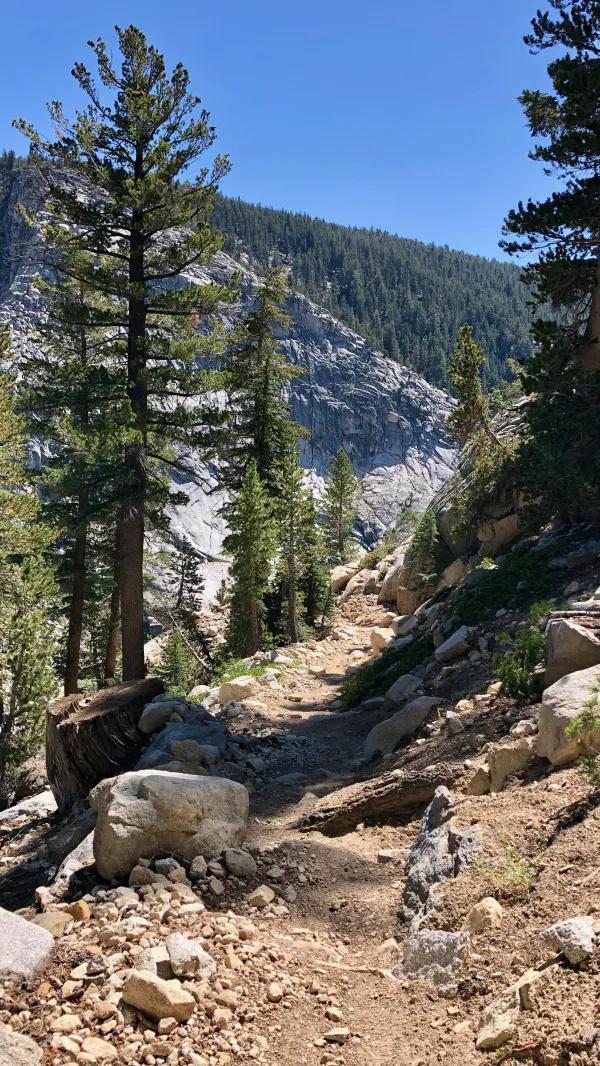 Descending trail on the PCT