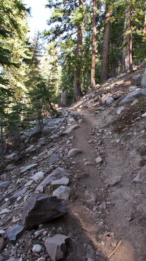 Climbing trail on the PCT