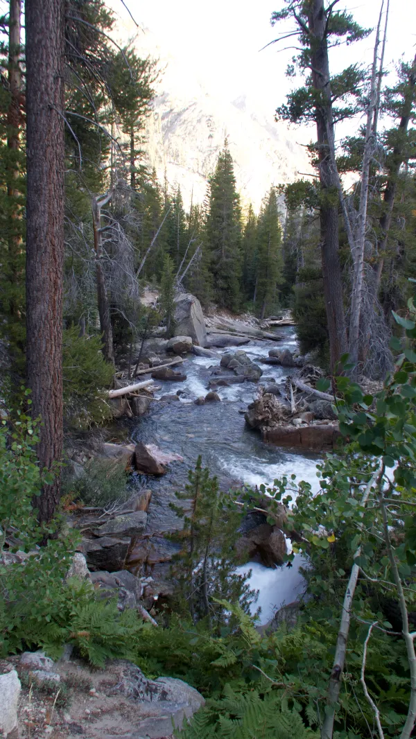 Middle Fork of Kings River